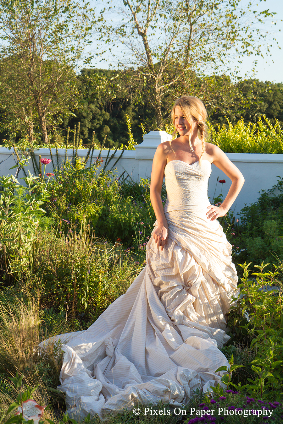 Pixels On Paper Charlotte NC Wedding And Bridal Photographers 