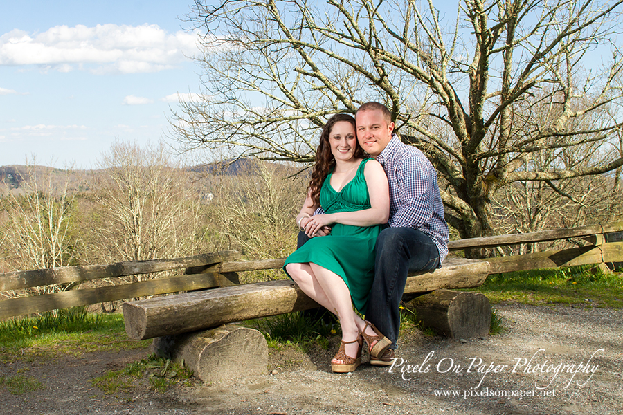 Gianetto/Fox Pixels On Paper Photography Blowing Rock NC Engagement portrait photography photo