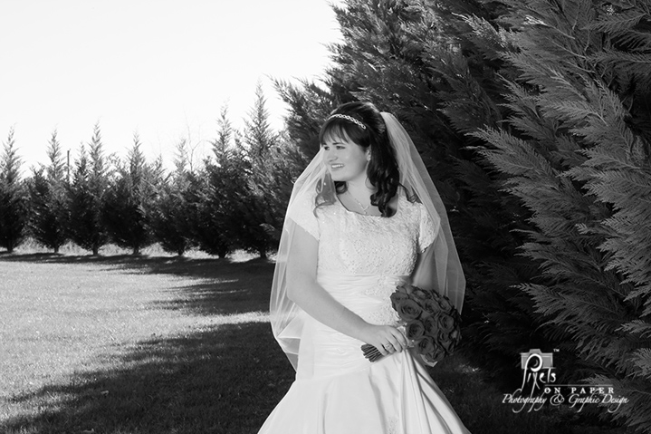 wilkesboro nc wedding nc mountain wedding nc mountain photographer pixels on paper photo