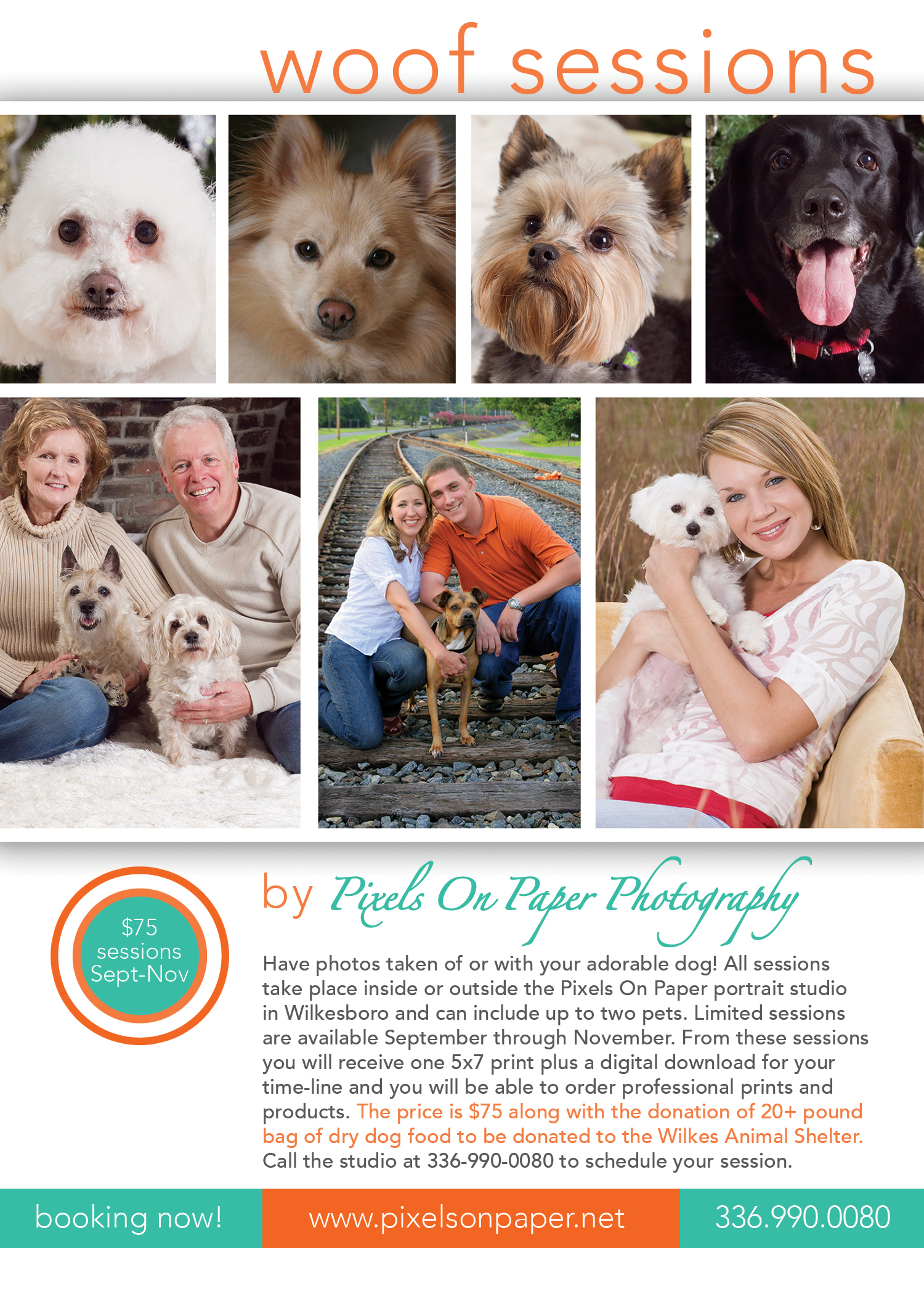 pixels on paper pet photography portraits sessions photo