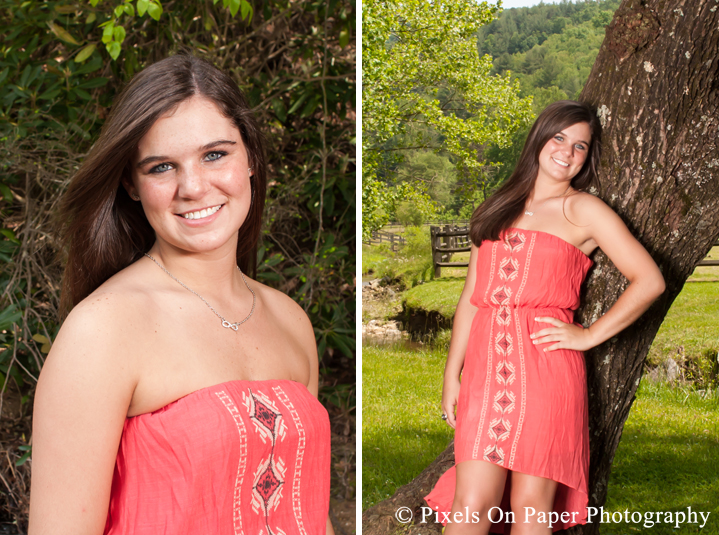 Tiffany's Country Senior Portrait Photo