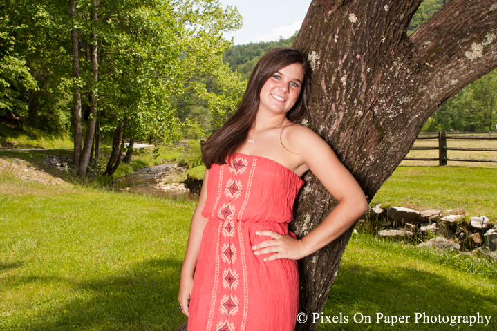 Tiffany's Country Senior Portrait Photo