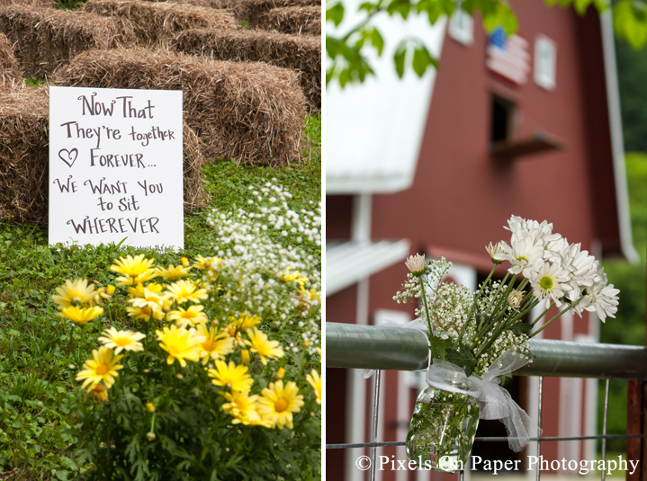 Wedding aisle details and daisies at outdoor country mountain wedding at big red barn in west jefferson nc photo