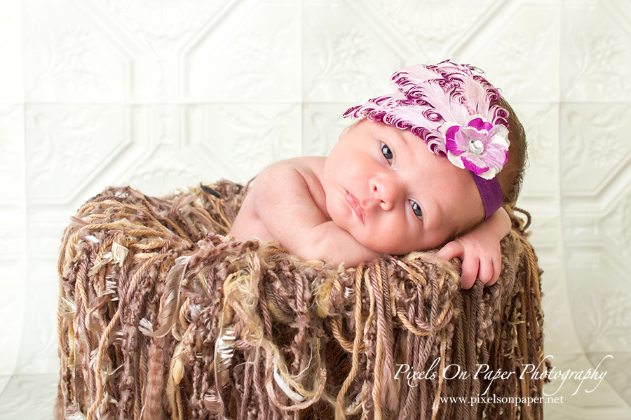 Newborn Baby Portrait. Baby Ivy cozy in a nest during her portrait session with Pixels On Paper Photo