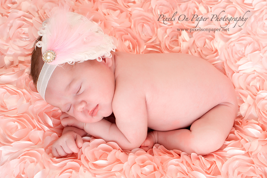 Newborn baby portrait by Pixels On Paper Photographers. Baby Scarlett sleeps in pink and feathers during newborn portrait session photo.