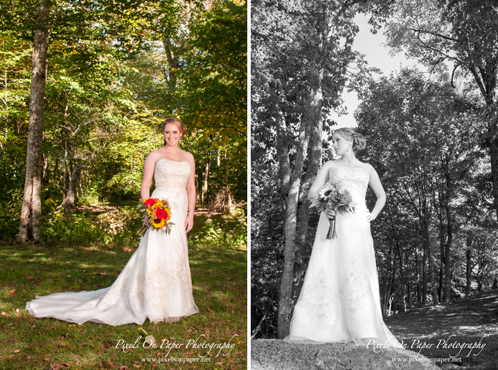 Angela and Andrew's Country Rustic Alpen Inn Beech Mountain NC wedding. Pixels On Paper Boone, Blowing Rock, Asheville, Greensboro, Winston Salem NC wedding photographers photo