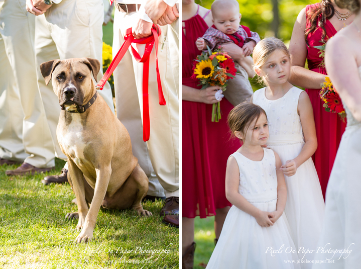 Angela and Andrew's Country Rustic Alpen Inn Beech Mountain NC wedding. Pixels On Paper Boone, Blowing Rock, Asheville, Greensboro, Winston Salem NC wedding photographers photo