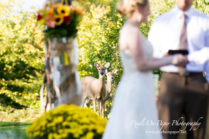 Angela and Andrew's Country Rustic Alpen Inn Beech Mountain NC wedding. Pixels On Paper Boone, Blowing Rock, Asheville, Greensboro, Winston Salem NC wedding photographers photo