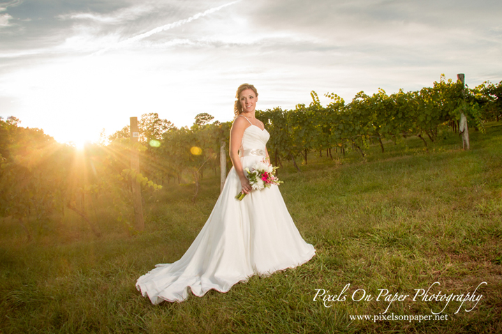 Moffitt Elkin Creek Vineyard Wedding Photo by Pixels On Paper. Boone, Blowing Rock, Asheville, Wilkes, Winston Salem Wedding Photographers