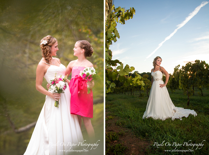 Moffitt Elkin Creek Vineyard Wedding Photo by Pixels On Paper. Boone, Blowing Rock, Asheville, Wilkes, Winston Salem Wedding Photographers