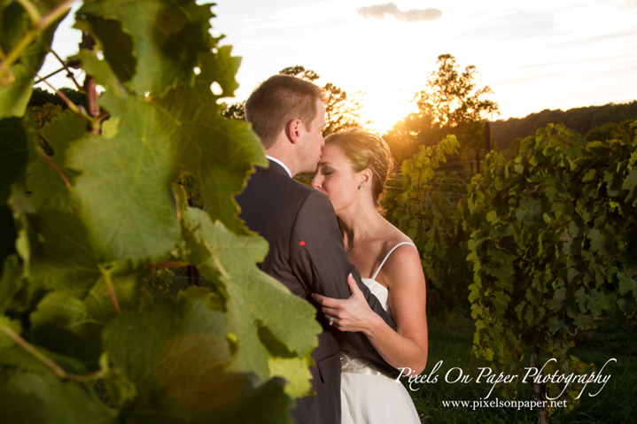 Moffitt Elkin Creek Vineyard Wedding Photo by Pixels On Paper. Boone, Blowing Rock, Asheville, Wilkes, Winston Salem Wedding Photographers