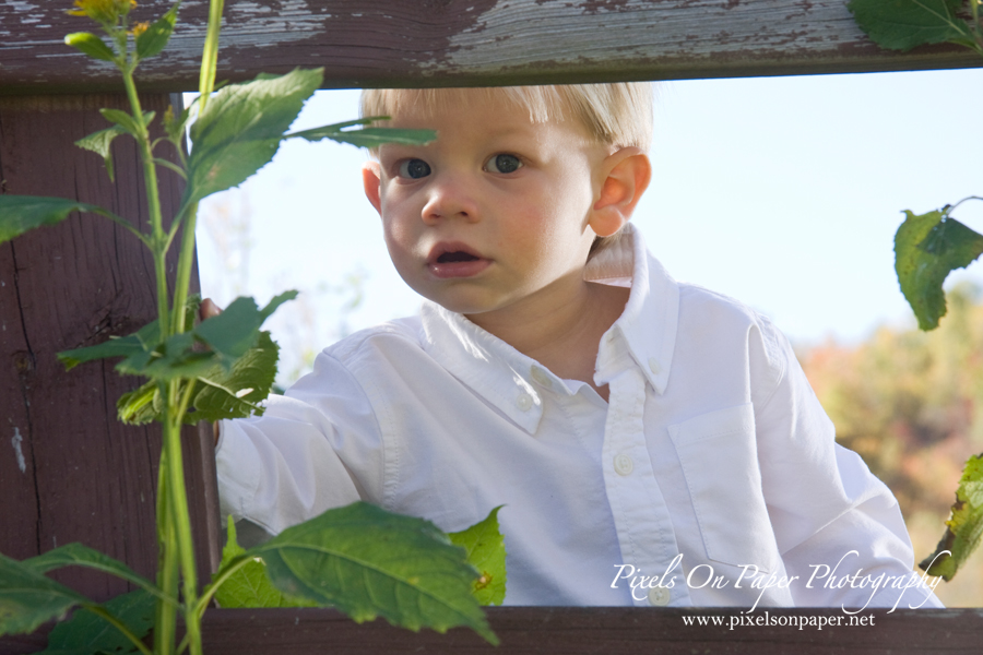 Outdoor family portrait photography by Pixels On Paper photo