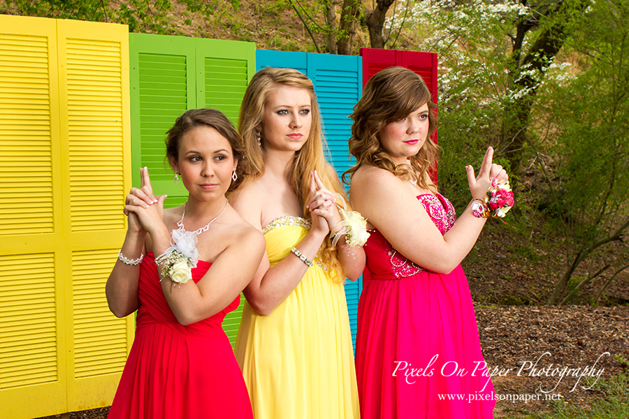 pixels on paper photography wilkesboro nc prom outdoor portrait photographers photo