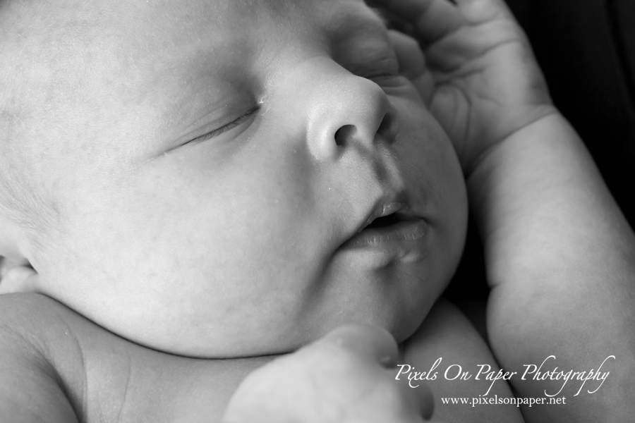 pixels on paper newborn portrait photography photo