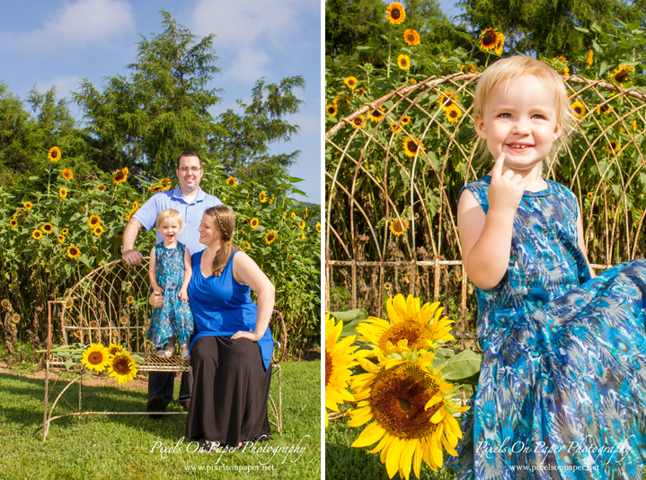 pixels on paper nc family portrait photographers outdoor family photo