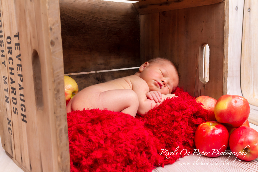 Pixels on Paper Newborn photo shoot of Conner Tevepaugh photo