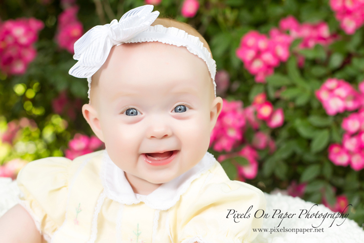 Pixels on Paper photograph 6 month portraits in outdoor studio