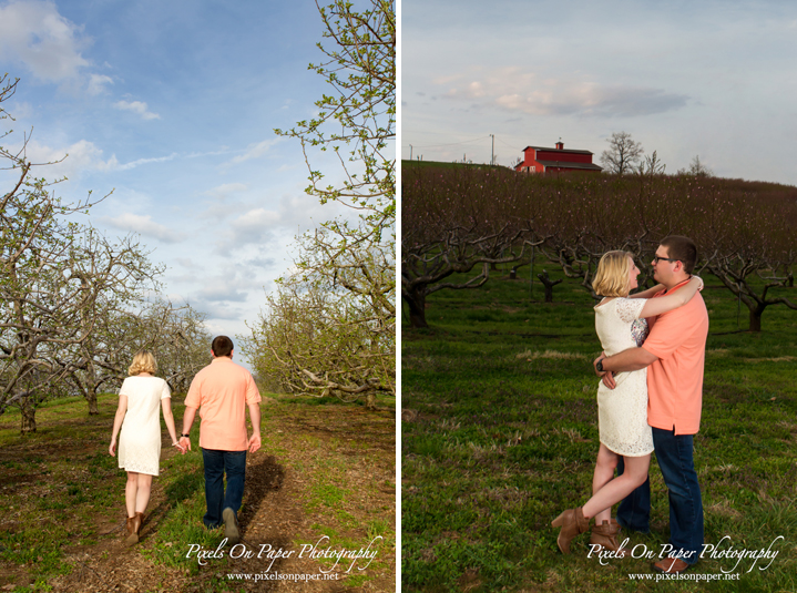 Parsons engagement portrait photography by Wilkesboro NC Photographers Pixels On Paper photo