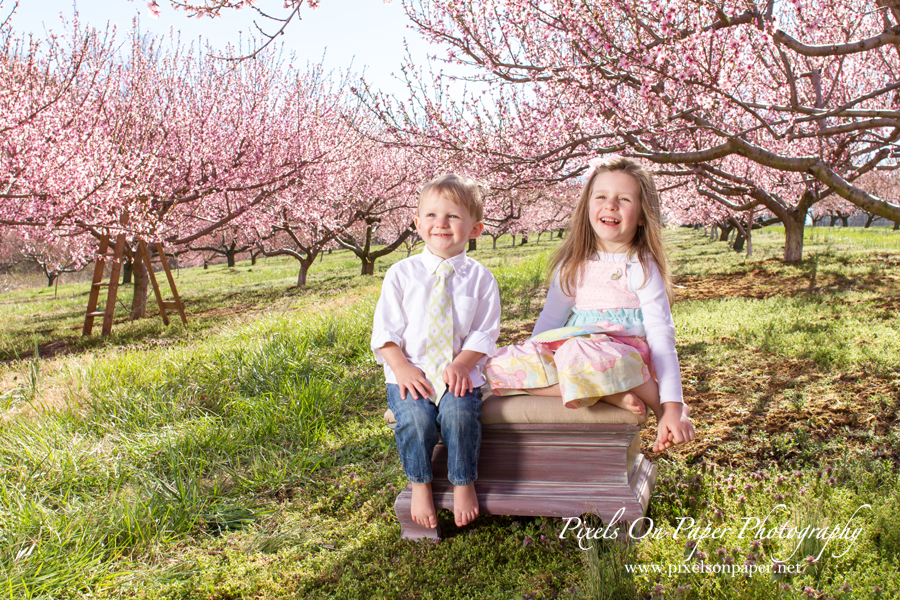 Pixels On Paper Family Spring outdoor portrait photography photo