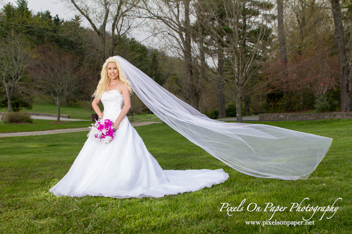 Clampett Wedding, Sarah Crisp Bridal Portrait Photo