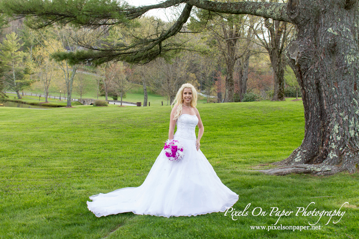 Clampett Wedding, Sarah Crisp Bridal Portrait Photo