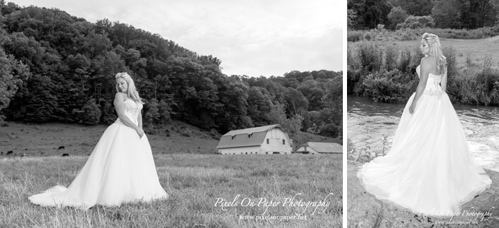 Pixels On Paper NC Mouintain Photographers Warrensville Bride Bridal Portrait Photo