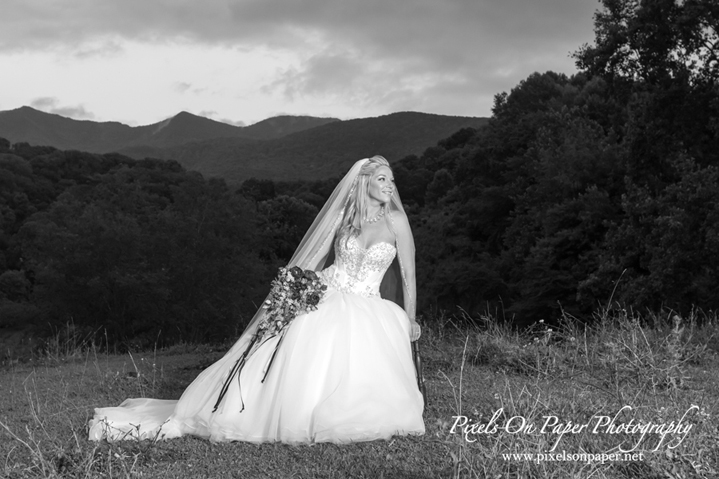 Pixels On Paper NC Mouintain Photographers Warrensville Bride Bridal Portrait Photo