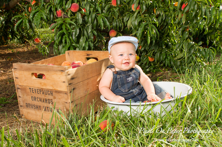 Pixels On Paper family and child portrait photographers six month child photo