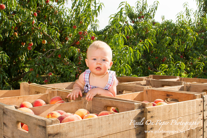 Pixels On Paper family and child portrait photographers six month child photo