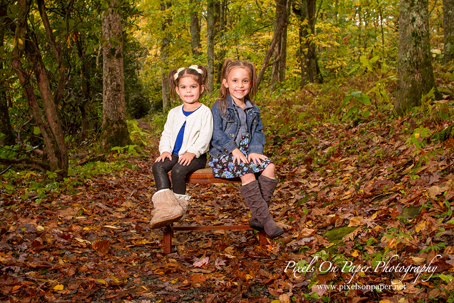 Pixels On Paper NC Mountain Fall Outdoor Family Portrait Photographers photo