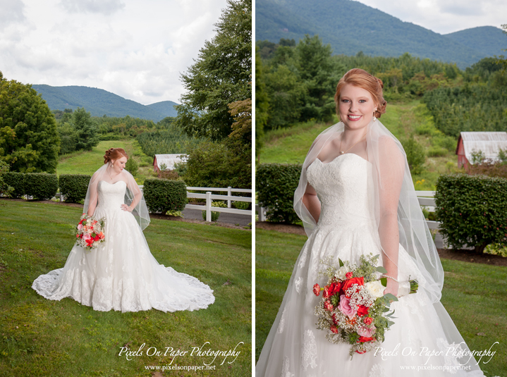 Pixels On Paper NC Mountain Wilkesboro Wedding Photographers Bethany Church Todd NC and Doughton Hall Bed and Breakfast Reception Photo