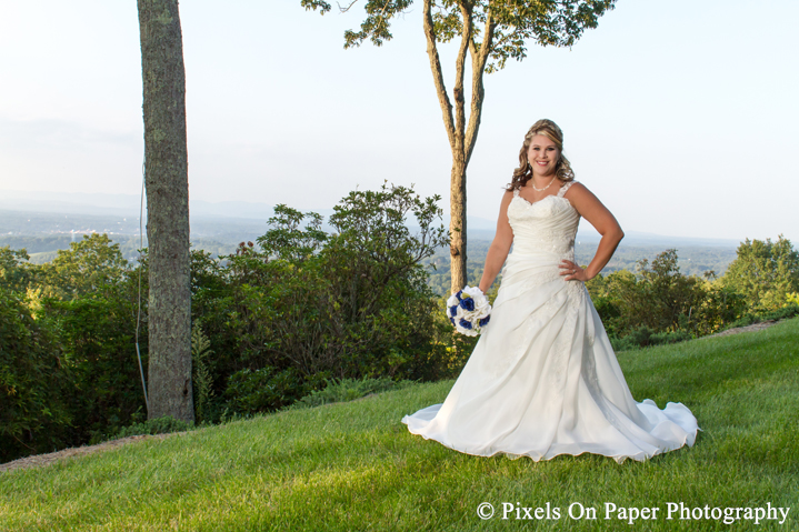 Goforth/Harrison Pixels On Paper nc mountain outdoor wedding photographers bride portrait photo