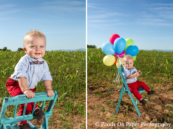 Outdoor one year old child portrait photos and cake smash in Yadkin Valley NC by Wilkesboro NC family photographers Pixels On Paper Photography. ©2015 Pixels On Paper Photography http://www.pixelsonpaper.net Do not copy, print, crop or remove watermark.