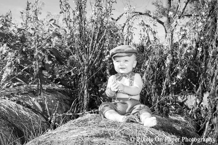 Outdoor one year old child portrait photos and cake smash in Yadkin Valley NC by Wilkesboro NC family photographers Pixels On Paper Photography. ©2015 Pixels On Paper Photography http://www.pixelsonpaper.net Do not copy, print, crop or remove watermark.