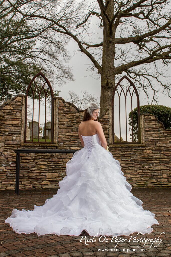 Pixels on Paper NC winter mountain bridal portraits photos