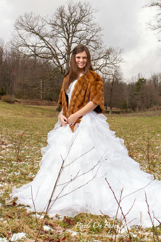 Pixels on Paper NC winter mountain bridal portraits photos