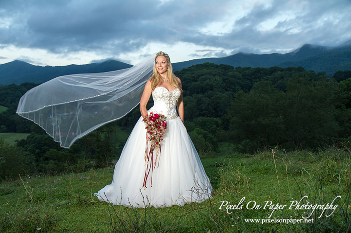 Clawson Wedding, Meghann Roberts Bridal Portrait Photo