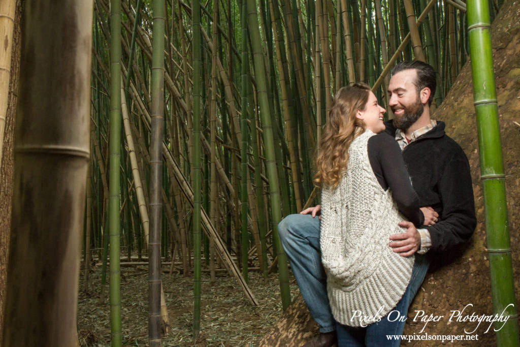 Pixels on Paper engagement photographers Biltmore Estate photos