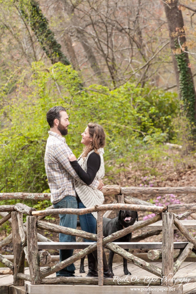 Pixels on Paper engagement photographers Biltmore Estate photo