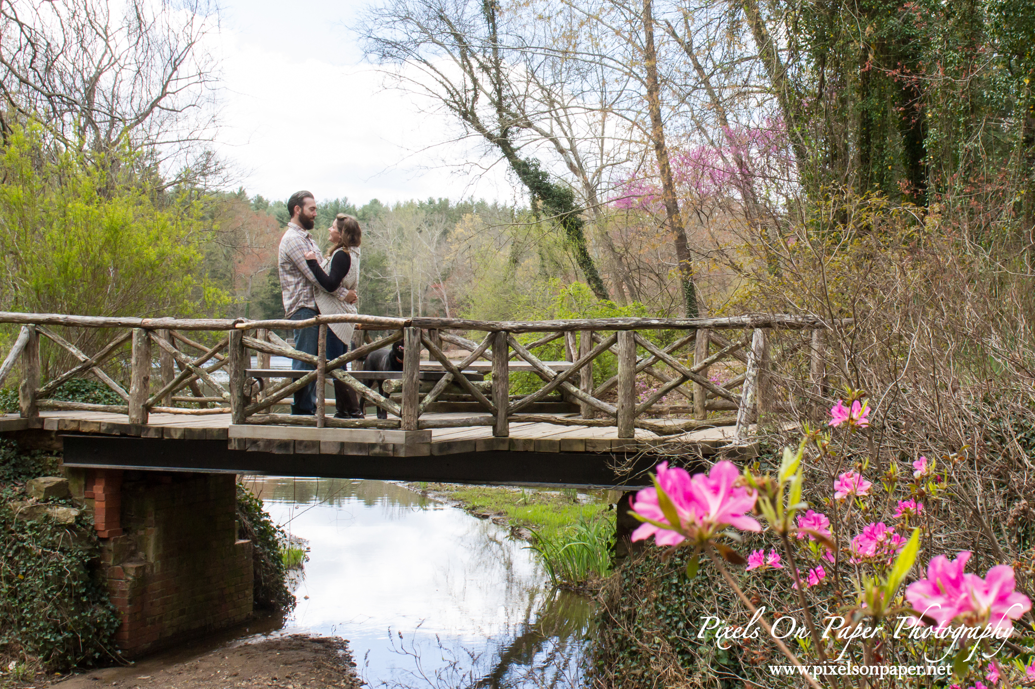 Pixels On Paper wedding photographers. Biltmore Estate engagement portrait Asheville NC photo