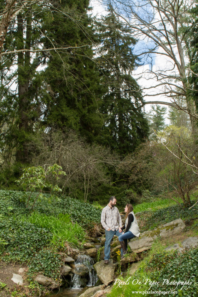 Pixels On Paper wedding photographers. Biltmore Estate engagement portrait Asheville NC photo