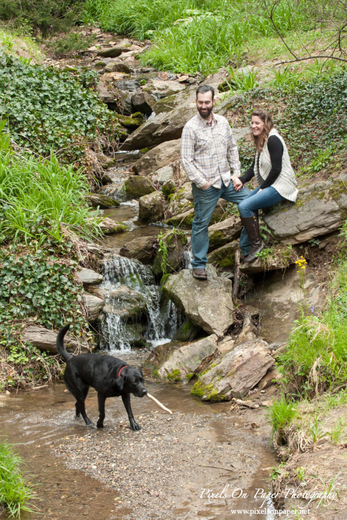 Pixels on Paper engagement photographers Biltmore Estate photos