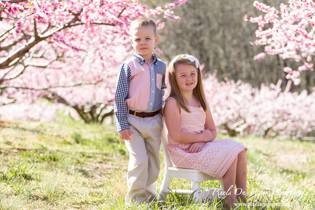 NC Mountain Outdoor Family Portrait Photos by Pixels On Paper Photographers photo