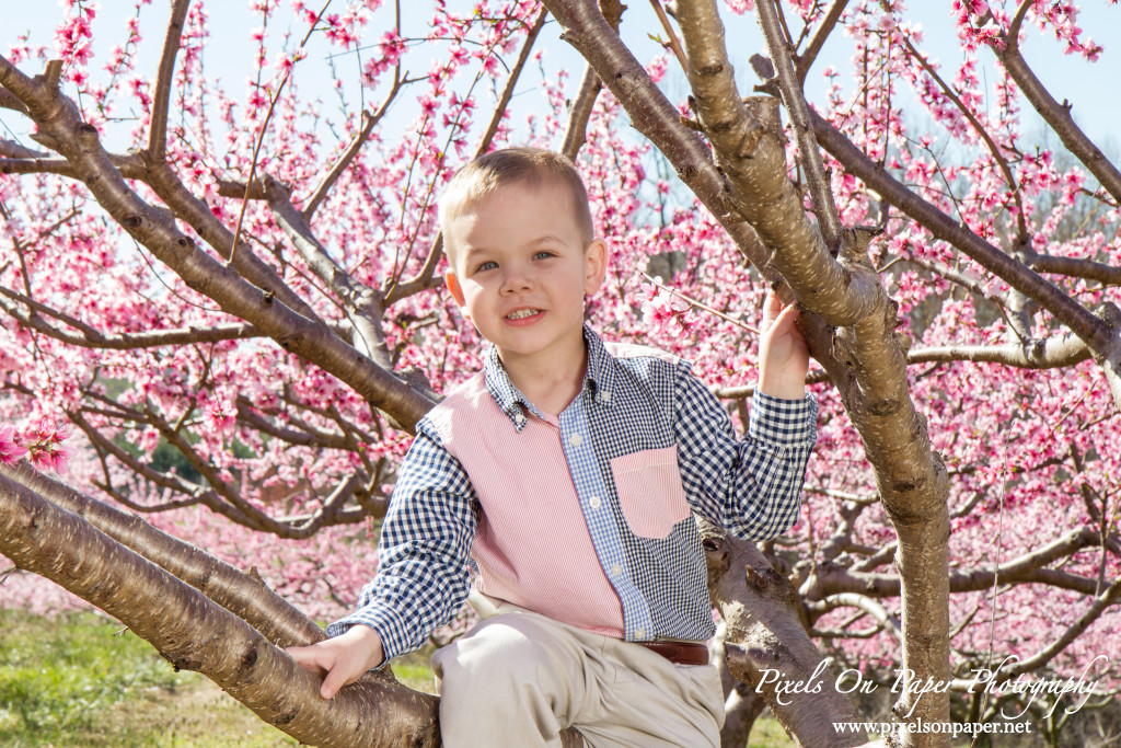 NC Mountain Outdoor Family Portrait Photos by Pixels On Paper Photographers photo