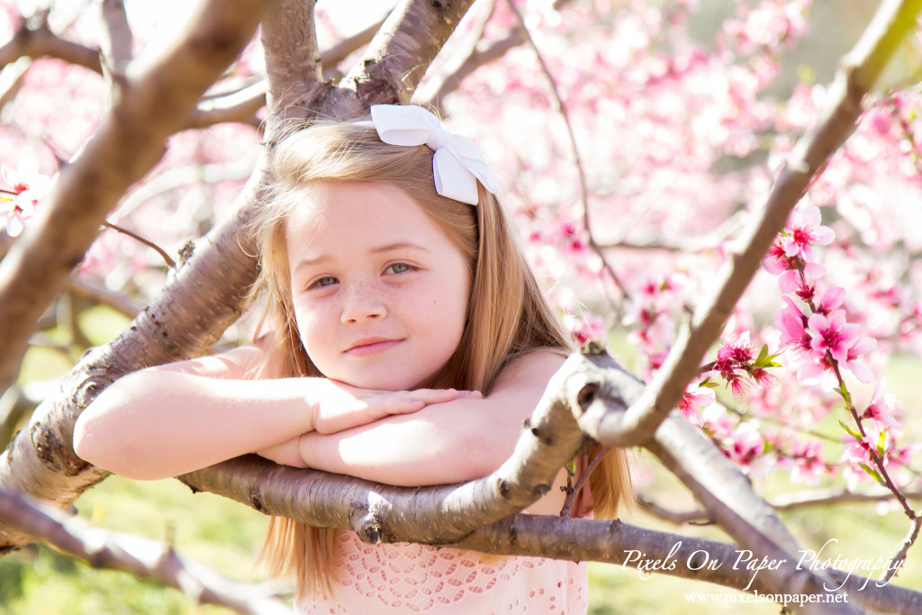 NC Mountain Outdoor Family Portrait Photos by Pixels On Paper Photographers photo