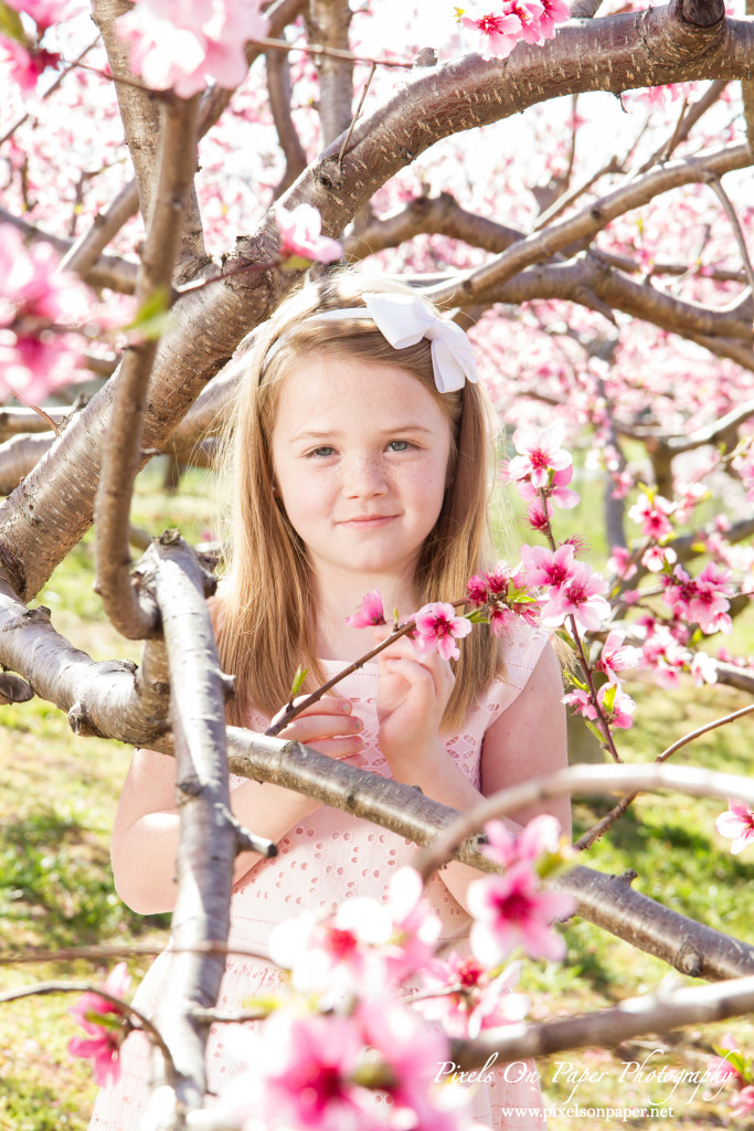 NC Mountain Outdoor Family Portrait Photos by Pixels On Paper Photographers photo