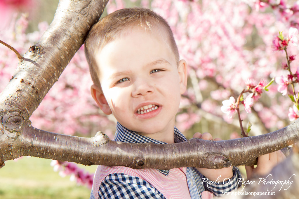 NC Mountain Outdoor Family Portrait Photos by Pixels On Paper Photographers photo