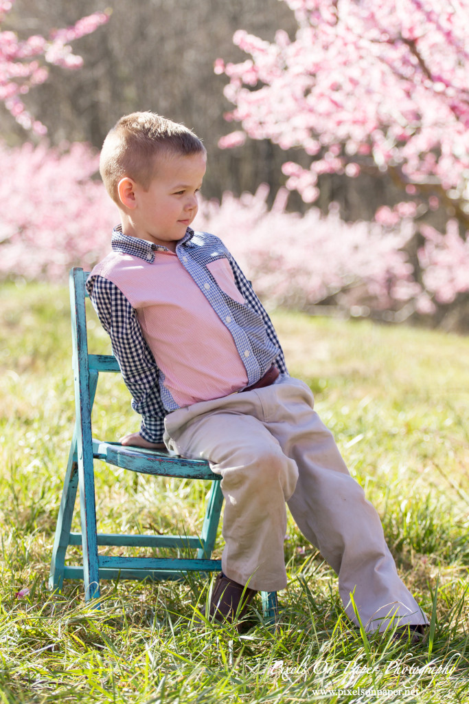 NC Mountain Outdoor Family Portrait Photos by Pixels On Paper Photographers photo