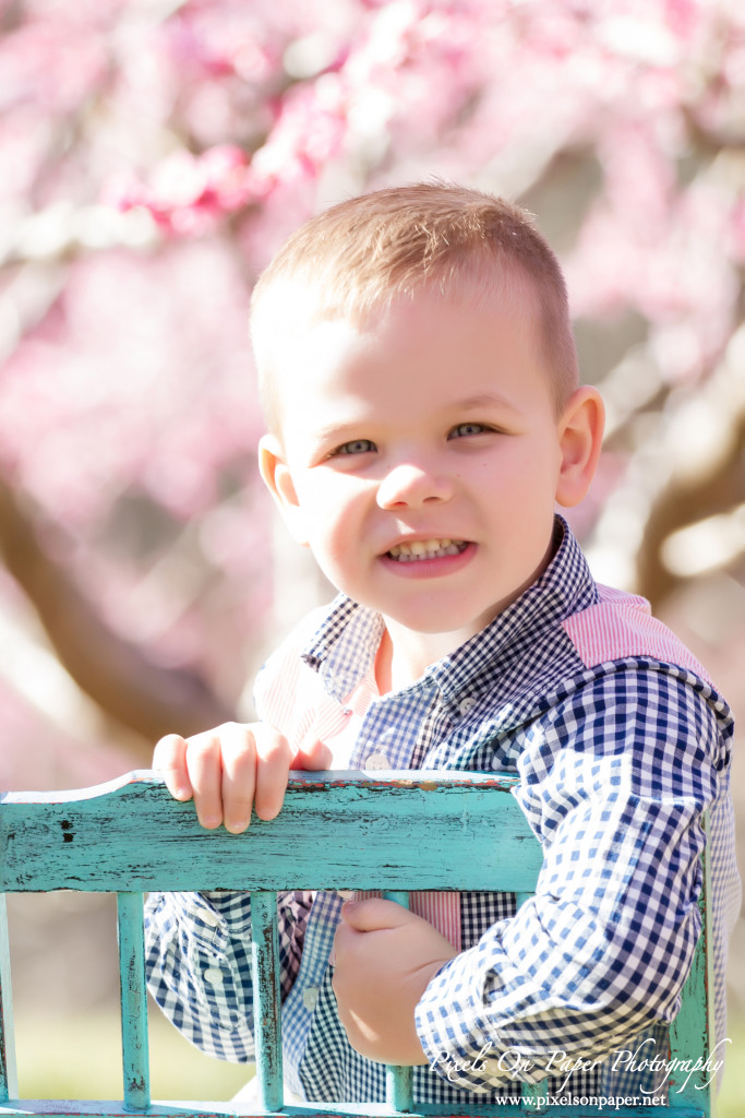 NC Mountain Outdoor Family Portrait Photos by Pixels On Paper Photographers ©2016 photo