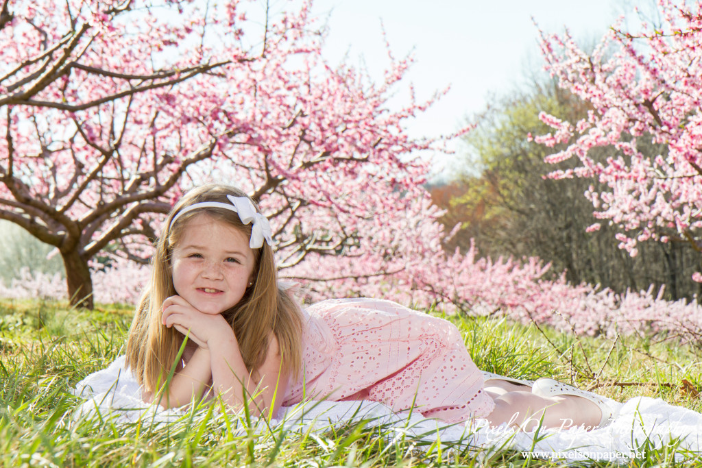 NC Mountain Outdoor Family Portrait Photos by Pixels On Paper Photographers photo